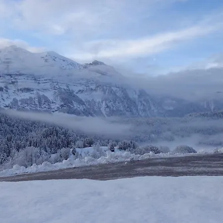 Duenser Holiday home Bizau