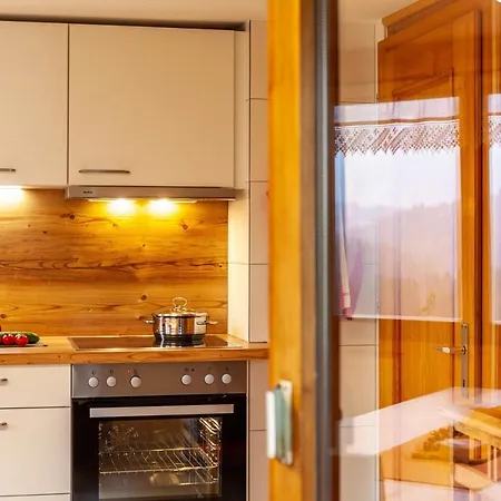 Duenser Holiday home Bizau